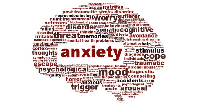Vortioxetine and Social Anxiety Disorder: A Potential Treatment Option
