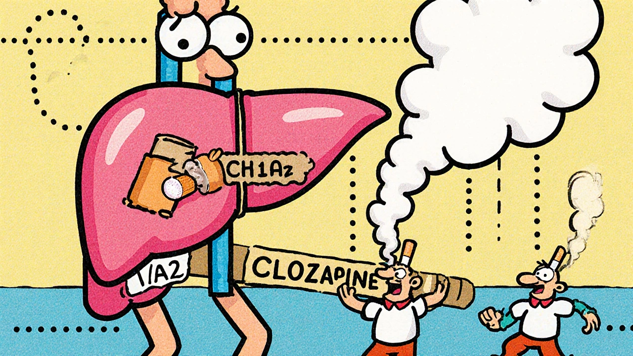 Clozapine and Tobacco Smoke: How Smoking Changes Your Medication Levels